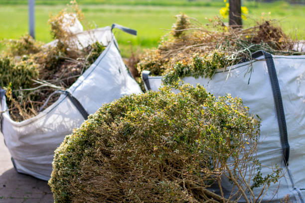Debris Removal in Green Valley, AZ