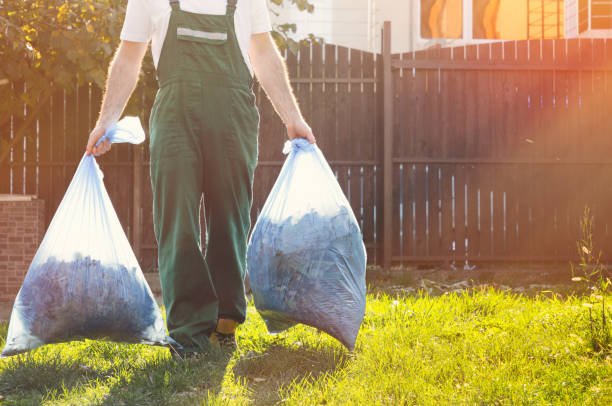 Best Professional Junk Removal  in Green Valley, AZ