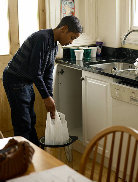 Best Attic Cleanout Services  in Green Valley, AZ